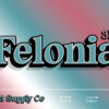 Felonia 3D