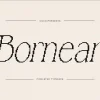 Bornean Pixel